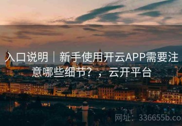 入口说明｜新手使用开云APP需要注意哪些细节？，云开平台