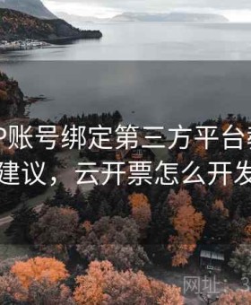 开云APP账号绑定第三方平台教程 - 设置建议，云开票怎么开发票