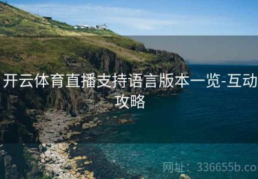 开云体育直播支持语言版本一览-互动攻略