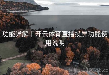 功能详解｜开云体育直播投屏功能使用说明