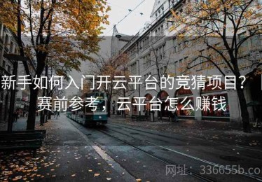 新手如何入门开云平台的竞猜项目？｜赛前参考，云平台怎么赚钱