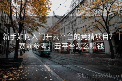 新手如何入门开云平台的竞猜项目？｜赛前参考，云平台怎么赚钱