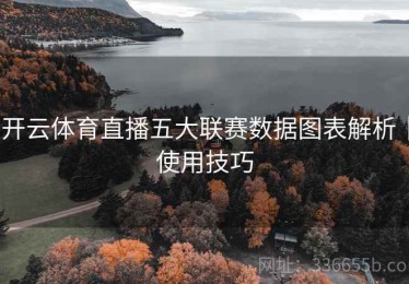 开云体育直播五大联赛数据图表解析｜使用技巧