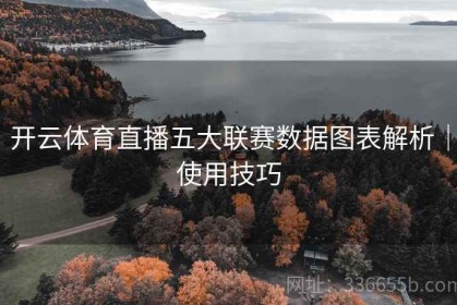 开云体育直播五大联赛数据图表解析｜使用技巧