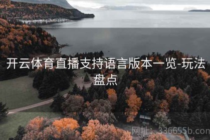 开云体育直播支持语言版本一览-玩法盘点