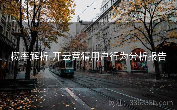 概率解析-开云竞猜用户行为分析报告