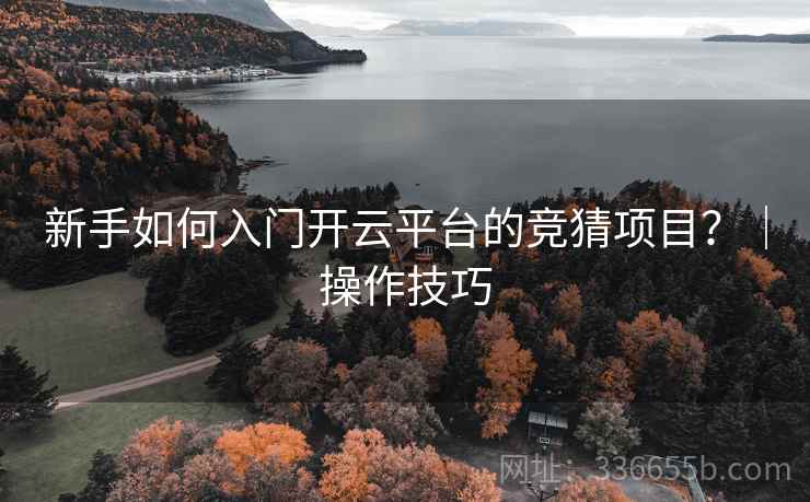 新手如何入门开云平台的竞猜项目？｜操作技巧