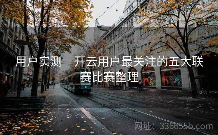 用户实测｜开云用户最关注的五大联赛比赛整理