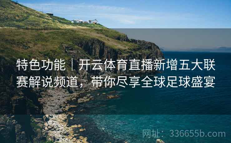 特色功能｜开云体育直播新增五大联赛解说频道，带你尽享全球足球盛宴